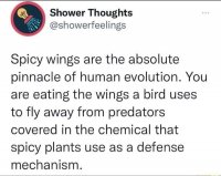wings.jpg