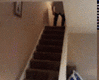 20sdfgsdfg0.gif