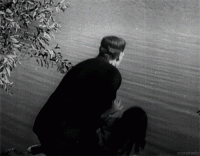 20221023_201619.gif