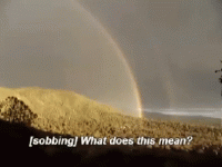 1666614449241.gif