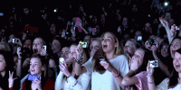 1666733908531.gif