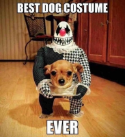 1666123987976.png