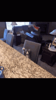 1666906824749.gif
