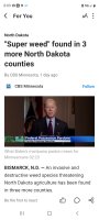 Screenshot_20221027-200903_NewsBreak.jpg