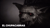 20sdfsdf0.gif