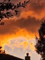 20221104_183825.jpg