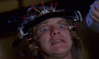 1667673456180.gif