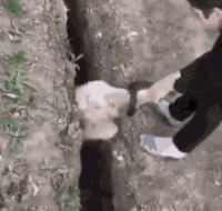 1668392013709.gif