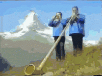 1668394320687.gif
