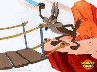 Wile E Coyote Wtf GIF by Looney Tunes - Find & Share on GIPHY.gif