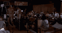 1669083205049.gif