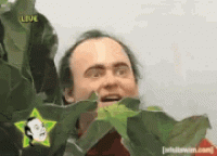 1669236639338.gif