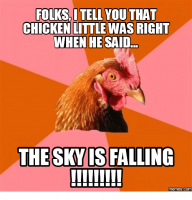 folksitellvou-that-chicken-little-was-right-when-he-said-the-15633460.png