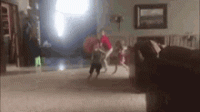 tenor-9.gif