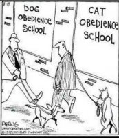 dog-vs-cat-obedience-school-leashes.jpg