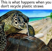 image-19.png