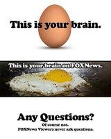 brain-on-fox-58b8f77b5f9b58af5cb7cb15.jpg