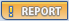 p_report.gif