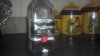 2013-03-01_18-37-54_711.jpg
