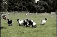 1671471940326.gif