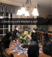 1671677339176.png