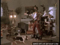 1671677721007.gif