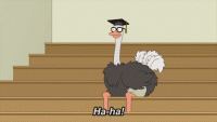 1672275247733.gif