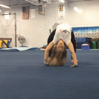 daily_gifdump_2990_17.gif