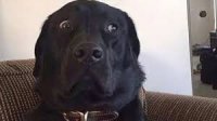 1672884674509.jpeg