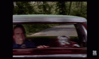 1673054057514.gif