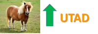 1673308910422.png