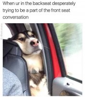 really-funny-in-the-backseat-memes.jpg