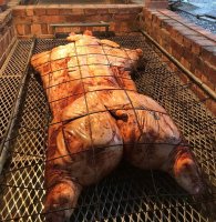 pig (2).jpg