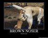 nose-67708586290.jpg