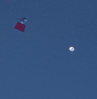 IMG_20230206_152831_01.jpg