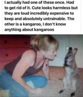 1675906863874.png