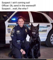 1676001430112.png