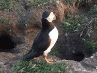 1676562687936.gif