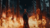 72D452D2-8B97-4AA7-B194-34B23832CC13.gif