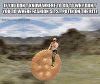 funniest-gif1.gif