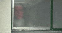 200w.gif