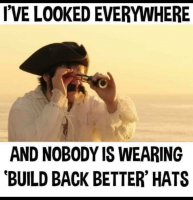 1679780496091.png