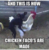 1679796765883.png