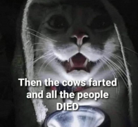 1679851934438.png