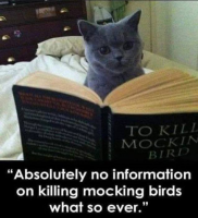 1680199046870.png