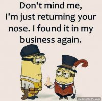 185f5b4b56136a360e9268f8165335eb--laugh-laugh-minions-quotes.jpg