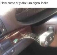 turn-signal-cobwebs.jpg