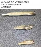 FB_IMG_1682904285548.jpg