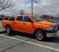 Orange Ram.jpg