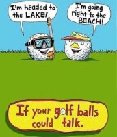 golf-balls-headed-to-lake-beach.jpg